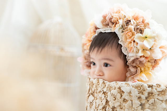 Flower Pot〜Antique Colour〜